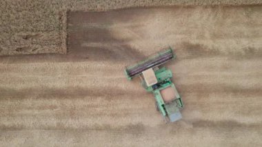 Buğday tarlasında çalışan hasat makinelerinin hava görüntüsü. Tarım makinesini birleştirip altın olgun buğday tarlasını hasat edin..