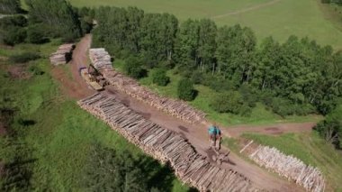 Sibirya 'nın ormansızlaşması: Rusya Orman Yönetiminde ekonomik ve çevresel sorunlar.