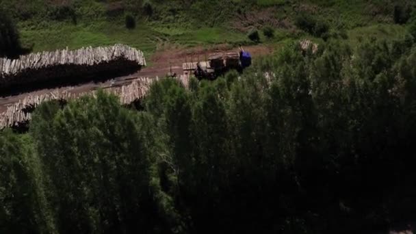 La déforestation en Sibérie : problèmes économiques et environnementaux dans la gestion des forêts russes. — Video