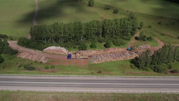 La deforestazione della Siberia: problemi economici e ambientali nella gestione forestale russa. — Video Stock