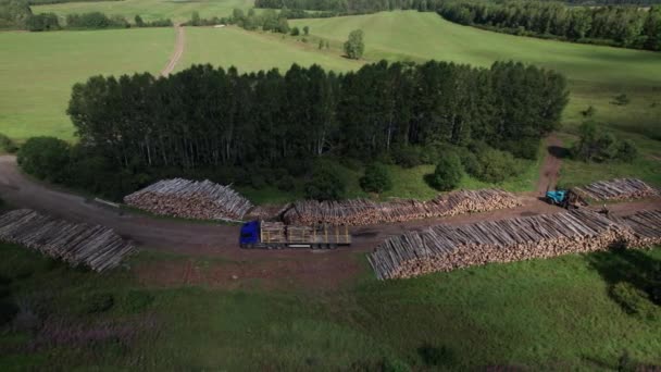 Despădurirea Siberiei: probleme economice și de mediu în gestionarea pădurilor rusești . — Videoclip de stoc