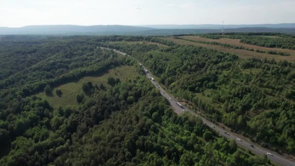 Vista aérea da estrada cênica entre árvores verdes com pinheiros em uma manhã de verão ensolarada. Paisagem natural na Sibéria, Rússia. Uma estrada passando por uma floresta de coníferas, tiro aéreo de um drone. — Vídeo de Stock