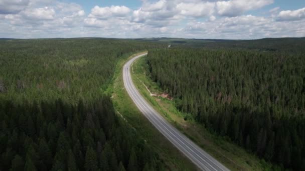 Вид с воздуха на живописную дорогу между зелеными деревьями и соснами в солнечное летнее утро. Природный пейзаж в Сибири, Россия. Дорога, проходящая через хвойный лес, воздушный выстрел из беспилотника. — стоковое видео