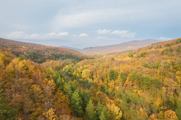 Kafkas dağlarının renkli sonbahar manzarası. Sarı ağaçların manzarası harika.. — Stok fotoğraf