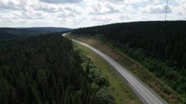 Güneşli bir yaz sabahında çam ağaçlarıyla yeşil ağaçlar arasındaki hava manzaralı yol. Sibirya, Rusya 'da doğa manzarası. Kozalaklı bir ormandan geçen bir yol, İHA 'dan havadan çekilen bir görüntü..