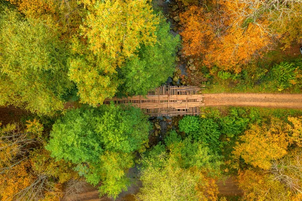 Veduta aerea panoramica di un tortuoso sentiero di trekking in un bosco autunnale. Percorso trekking nel bosco dall'alto, vista drone. — Foto Stock