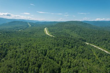 Batı Sibirya Taiga Ekorejisi 'ndeki Zigzag Yolu. Baykal, Rusya.