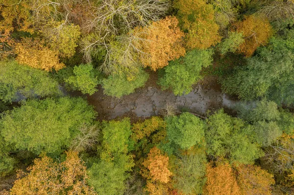 Πολύχρωμη φθινοπωρινή θέα στα βουνά του Καυκάσου. Υπέροχη θέα των κίτρινων δέντρων. Προβολή κάτω του κύτους. — Φωτογραφία Αρχείου