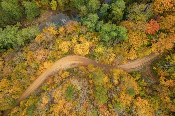 Γραφική εναέρια άποψη ελικοειδούς μονοπατιού σε φθινοπωρινό δάσος. Μονοπάτι πεζοπορίας στο δάσος από ψηλά, με θέα μη επανδρωμένο. — Φωτογραφία Αρχείου