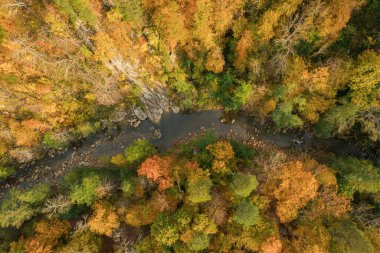 Kafkas dağlarının renkli sonbahar manzarası. Sarı ağaçların manzarası harika. Aşağı görünüm.