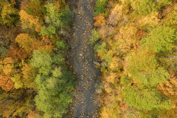 Барвистий осінній вид Кавказьких гір. Великий вид на жовті дерева. Втік вниз.. — стокове фото