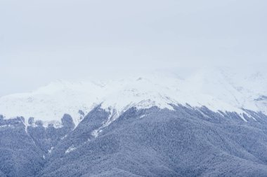 Kış manzarası: Krasnaya Polyana yakınlarındaki Rosa Khutor Alpine Resort.