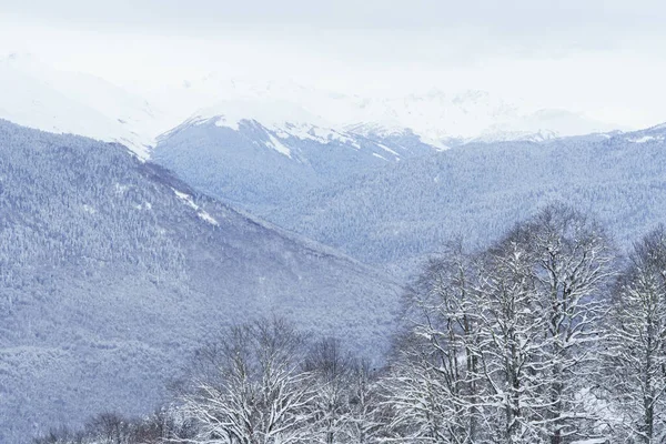 stock image Winter mountain landscape: The Rosa Khutor Alpine Resort near Krasnaya Polyana panoramic background.