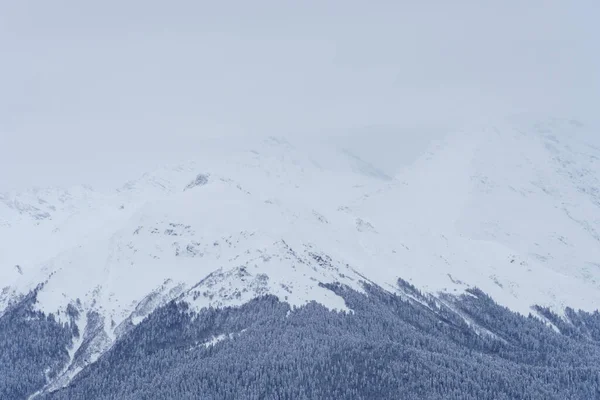Зимний горный пейзаж: Альпийский курорт "Роза Хутор" на фоне Красной Поляны. — стоковое фото