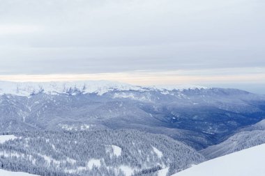 Kış manzarası: Krasnaya Polyana yakınlarındaki Rosa Khutor Alpine Resort.