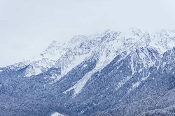 Winter mountain landscape: The Rosa Khutor Alpine Resort near Krasnaya Polyana panoramic background. Stock Image