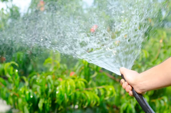 Gartenbewässerung mit Schlauch und Spray — Stockfoto