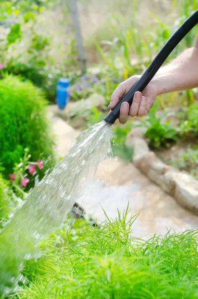 Gartenbewässerung mit Schlauch und Spray — Stockfoto