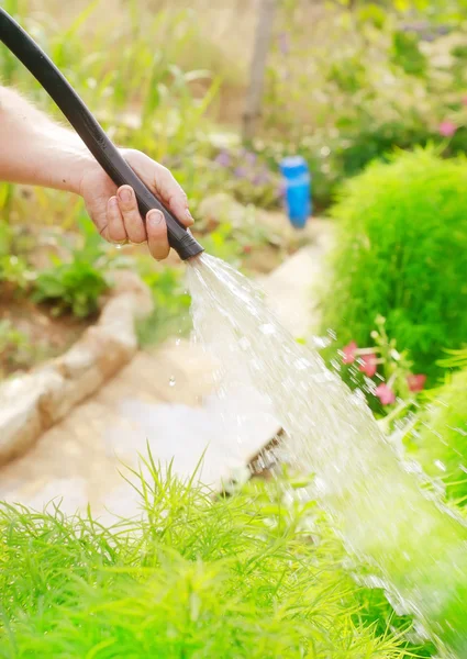Watering the garden with a hose with a spray — Stock Photo, Image
