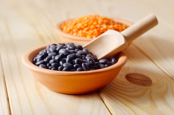 Color beans — Stock Photo, Image