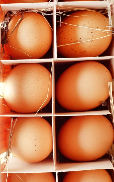 Rohe Eier — Stockfoto