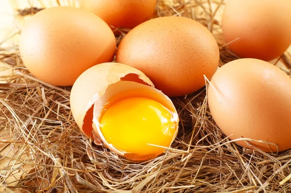 ไข่ดิบ — ภาพถ่ายสต็อก