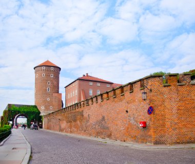 Wawel Kalesi. Krakow, Polonya