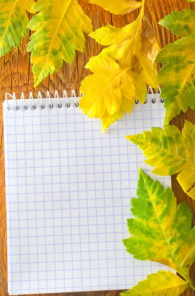 Herbstblätter und Notiz — Stockfoto