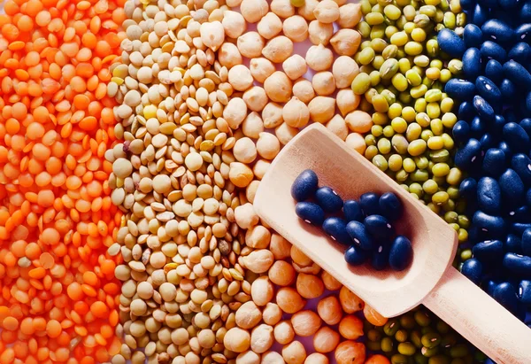 여러 종류의 콩 씨앗 — 스톡 사진