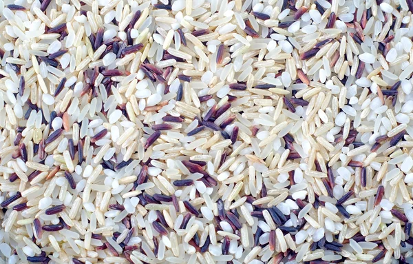 Разный рис — стоковое фото