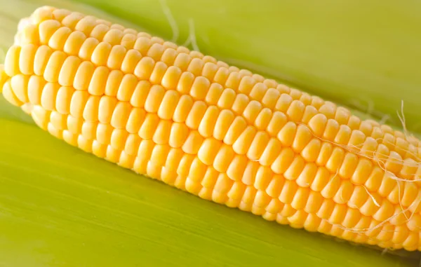 Corn — Stock Photo, Image