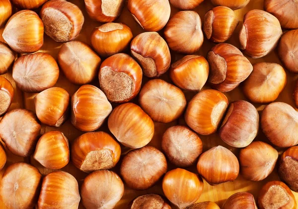 Hazelnut — Stock Photo, Image