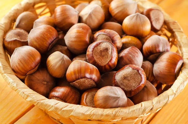 Hazelnut — Stock Photo, Image