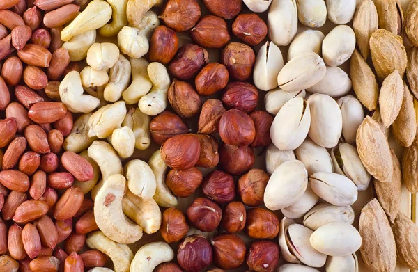 Different nuts — Stock Photo, Image