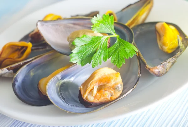 Cozze — Foto Stock