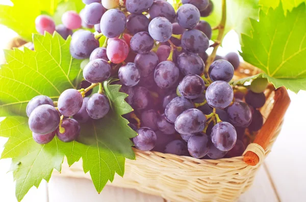 Dark blue grape — Stock Photo, Image