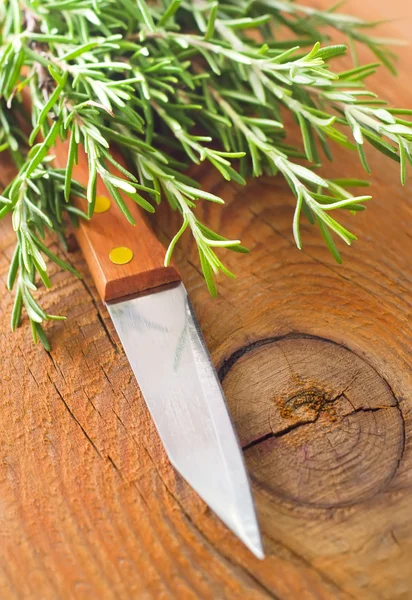 Knife and rosemary — Stock Photo, Image