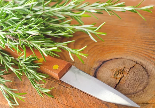 Knife and rosemary — Stock Photo, Image
