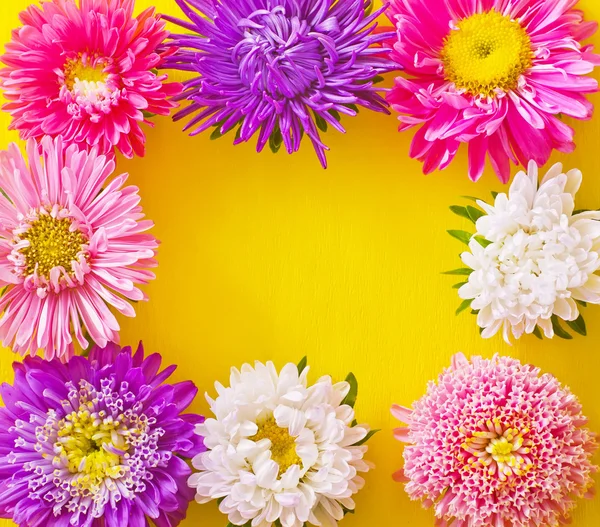 Rama kwiatów — Zdjęcie stockowe