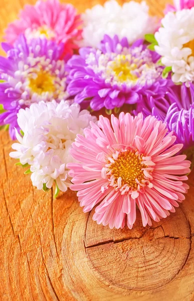 Beautifful bloemen — Stockfoto