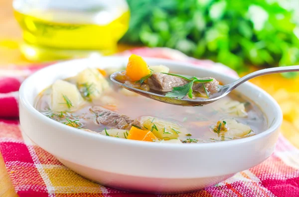 Fresh soup — Stock Photo, Image