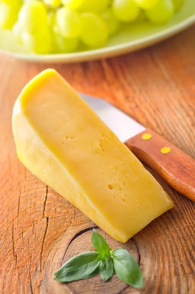 Cheese — Stock Photo, Image