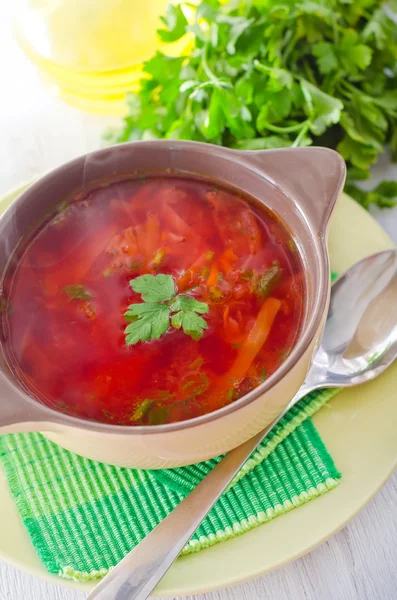 Fresh soup with vegetables — Stock Image Fresh soup with vegetables Stock Picture