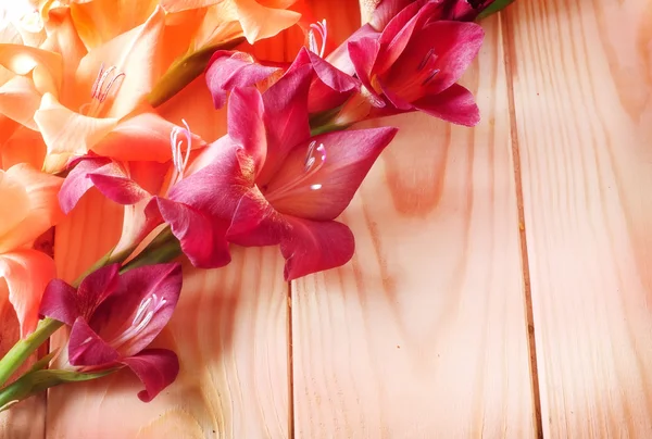 Flowers on a wooden background — Stock Photo, Image