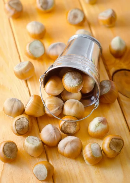 Hazelnut in a bucket — Stock Photo, Image