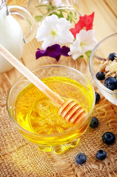 Delicious honey — Stock Photo, Image