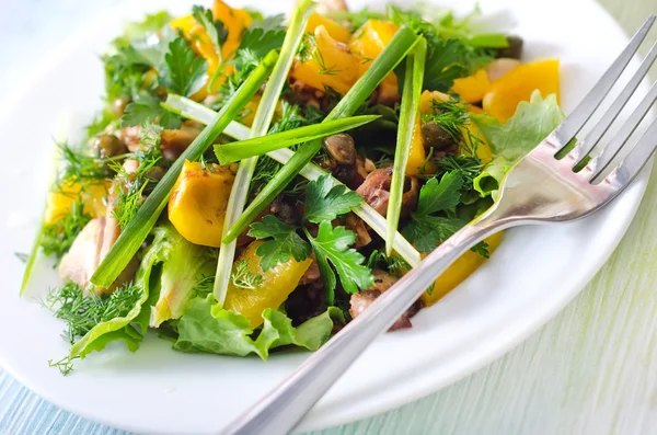 Salade met kip — Stockfoto