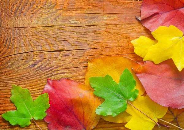 Leaves on wood — Stock Photo, Image