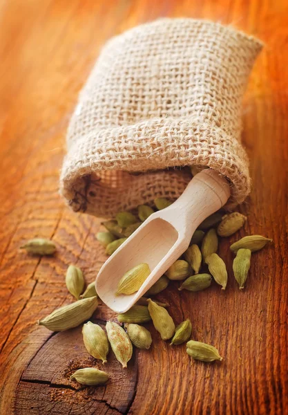 Cardamón — Foto de Stock