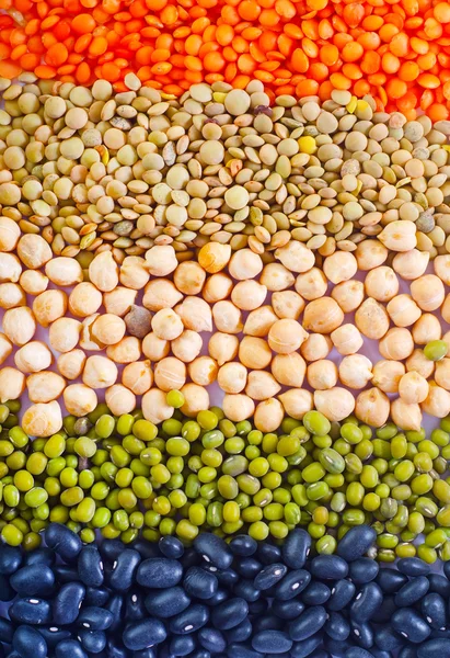 색 콩 — 스톡 사진